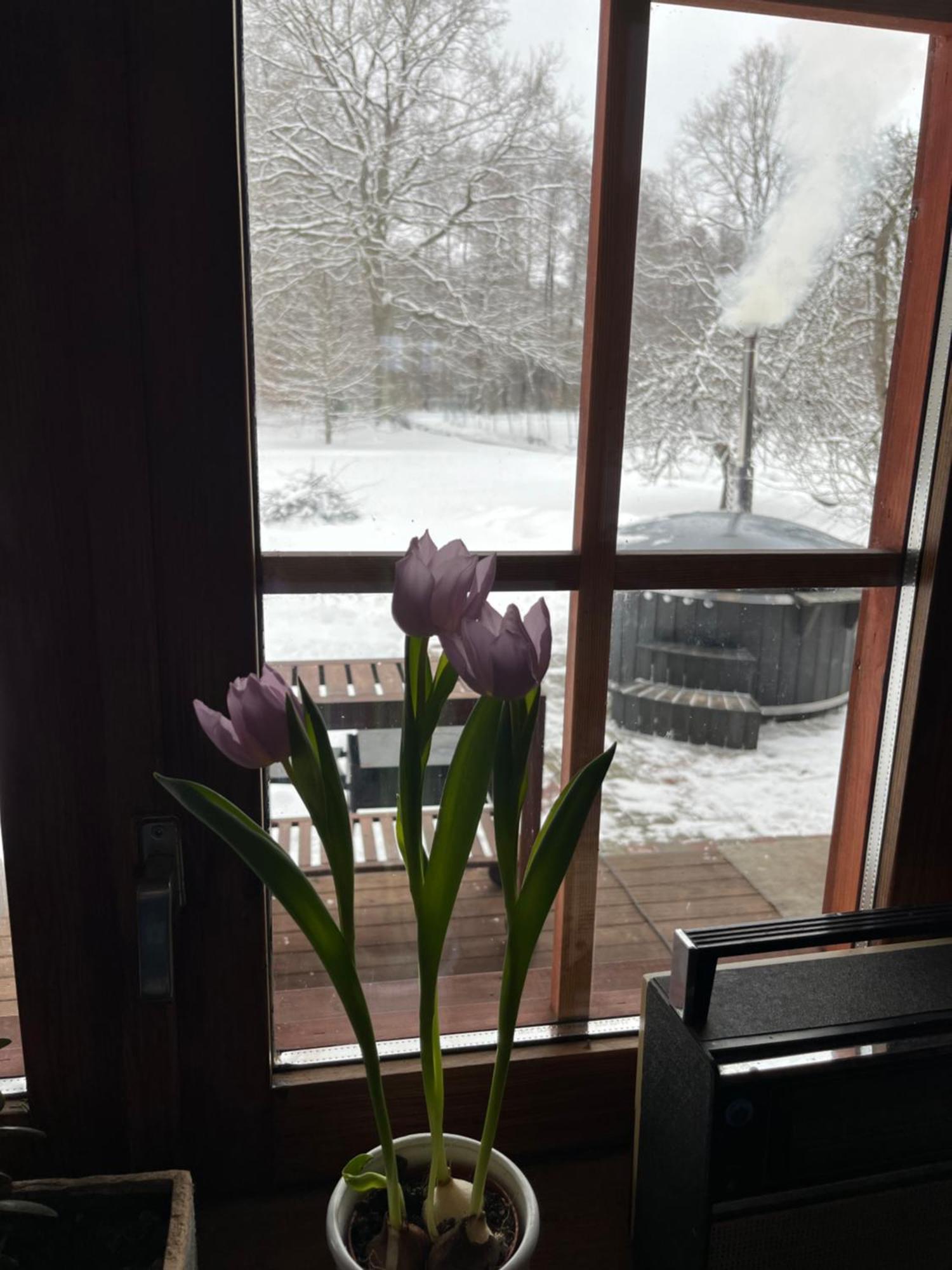 Auglu Ielas Pirts Maja Jūrkalne Esterno foto