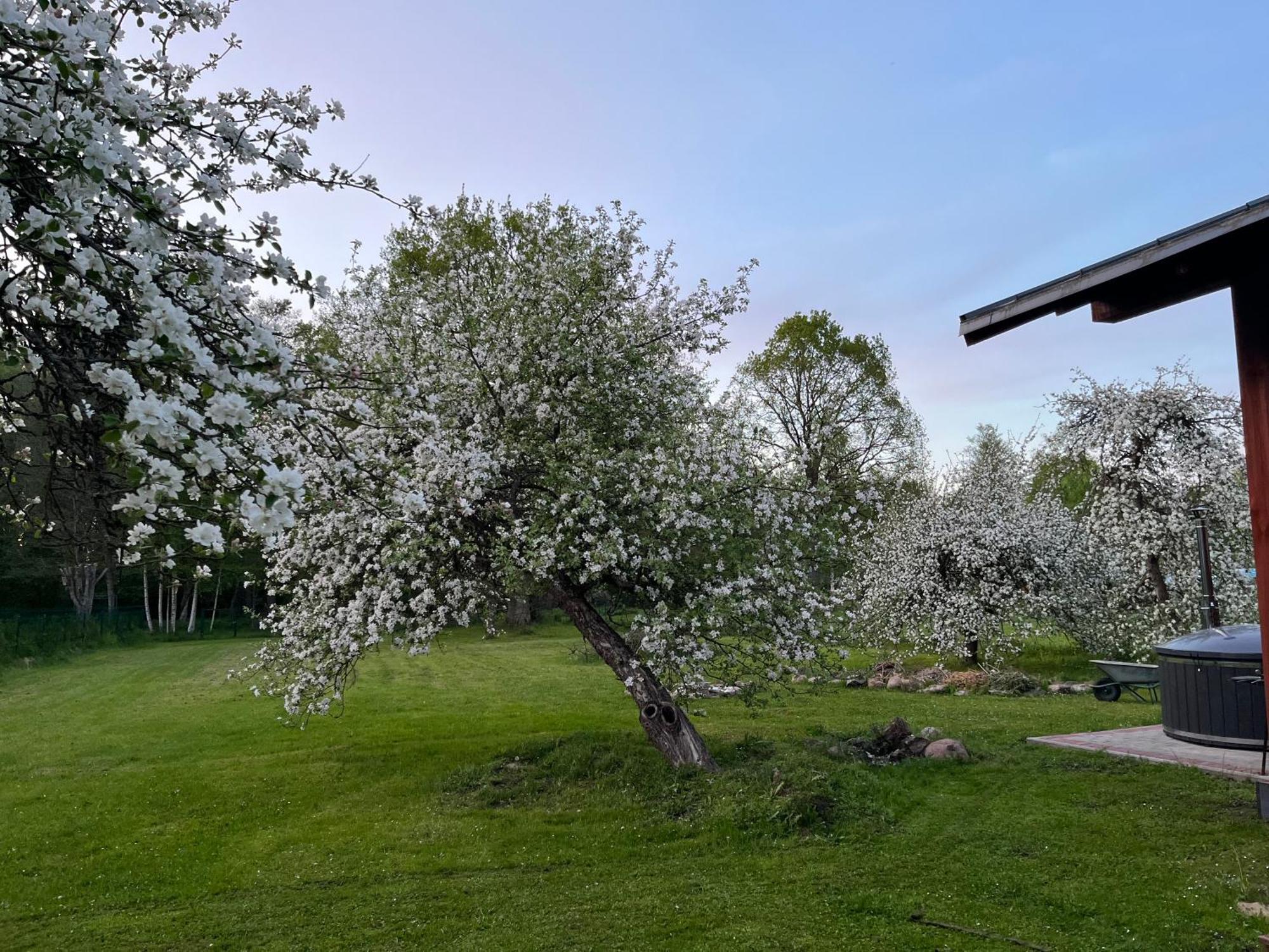 Auglu Ielas Pirts Maja Jūrkalne Esterno foto