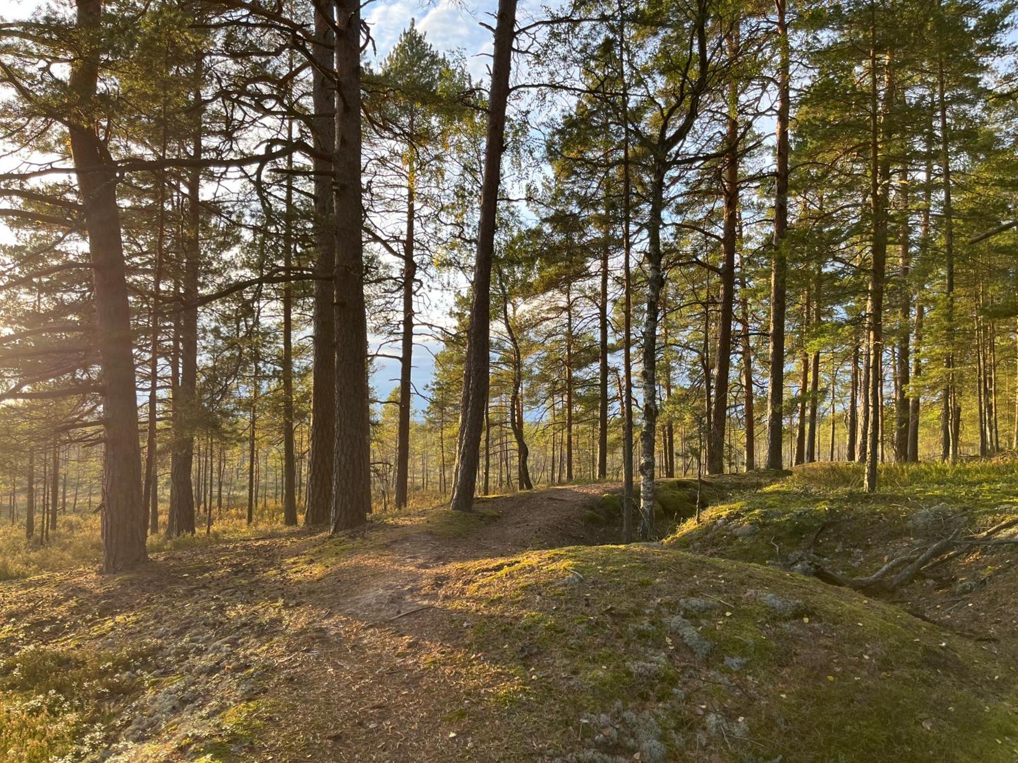Auglu Ielas Pirts Maja Jūrkalne Esterno foto