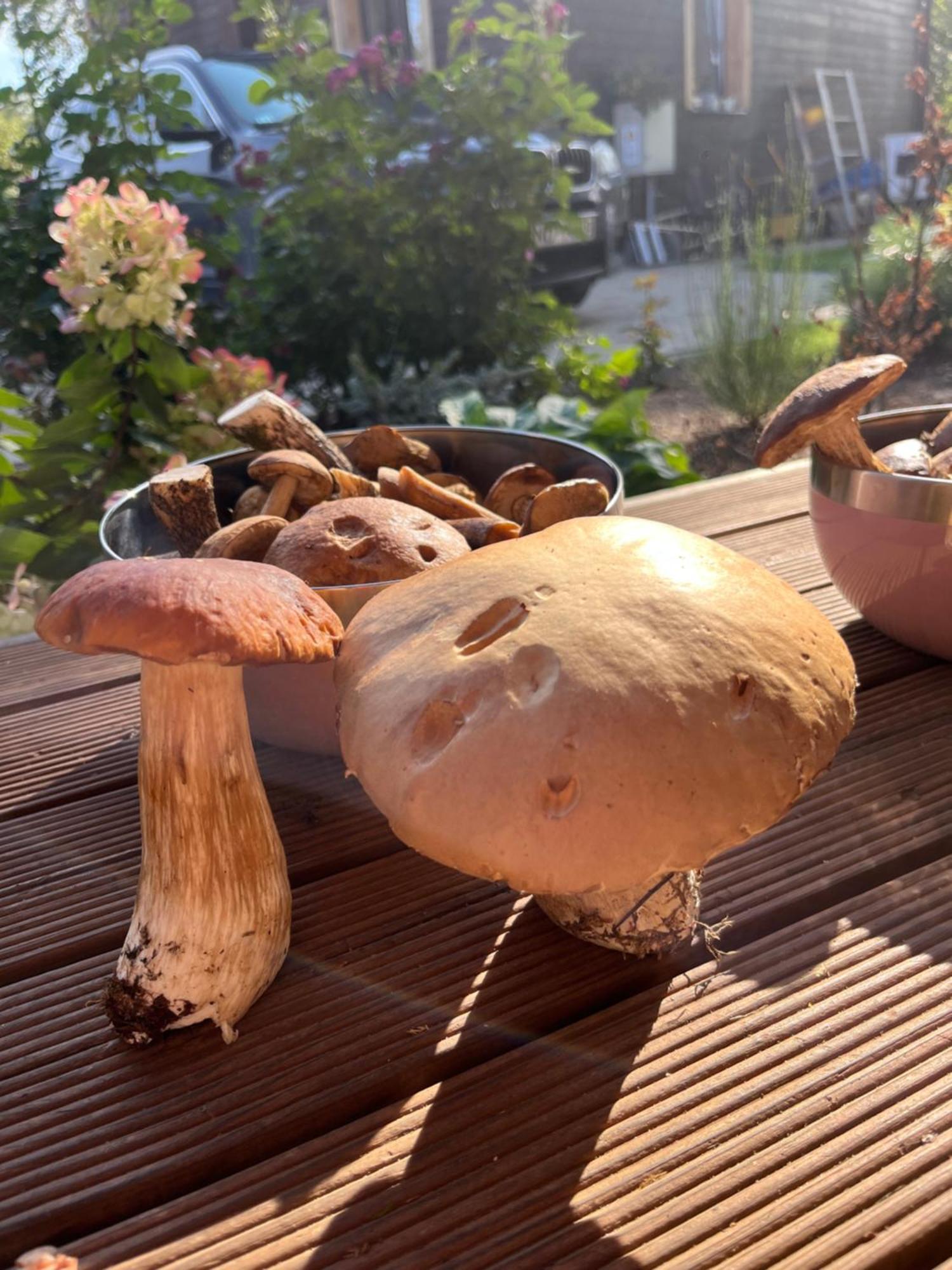 Auglu Ielas Pirts Maja Jūrkalne Esterno foto