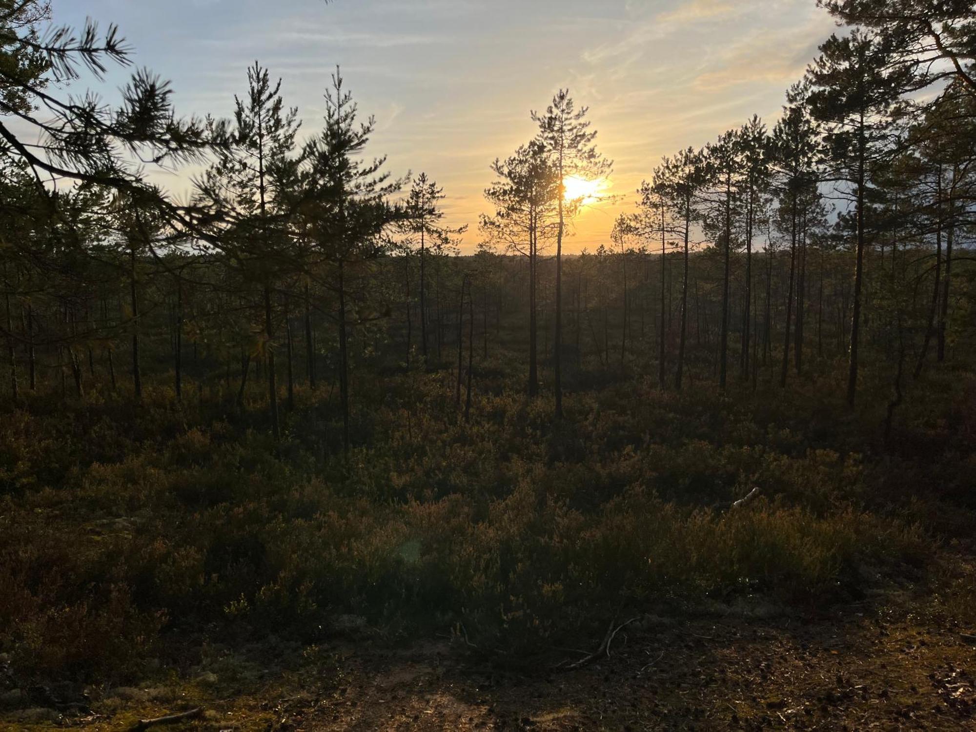 Auglu Ielas Pirts Maja Jūrkalne Esterno foto