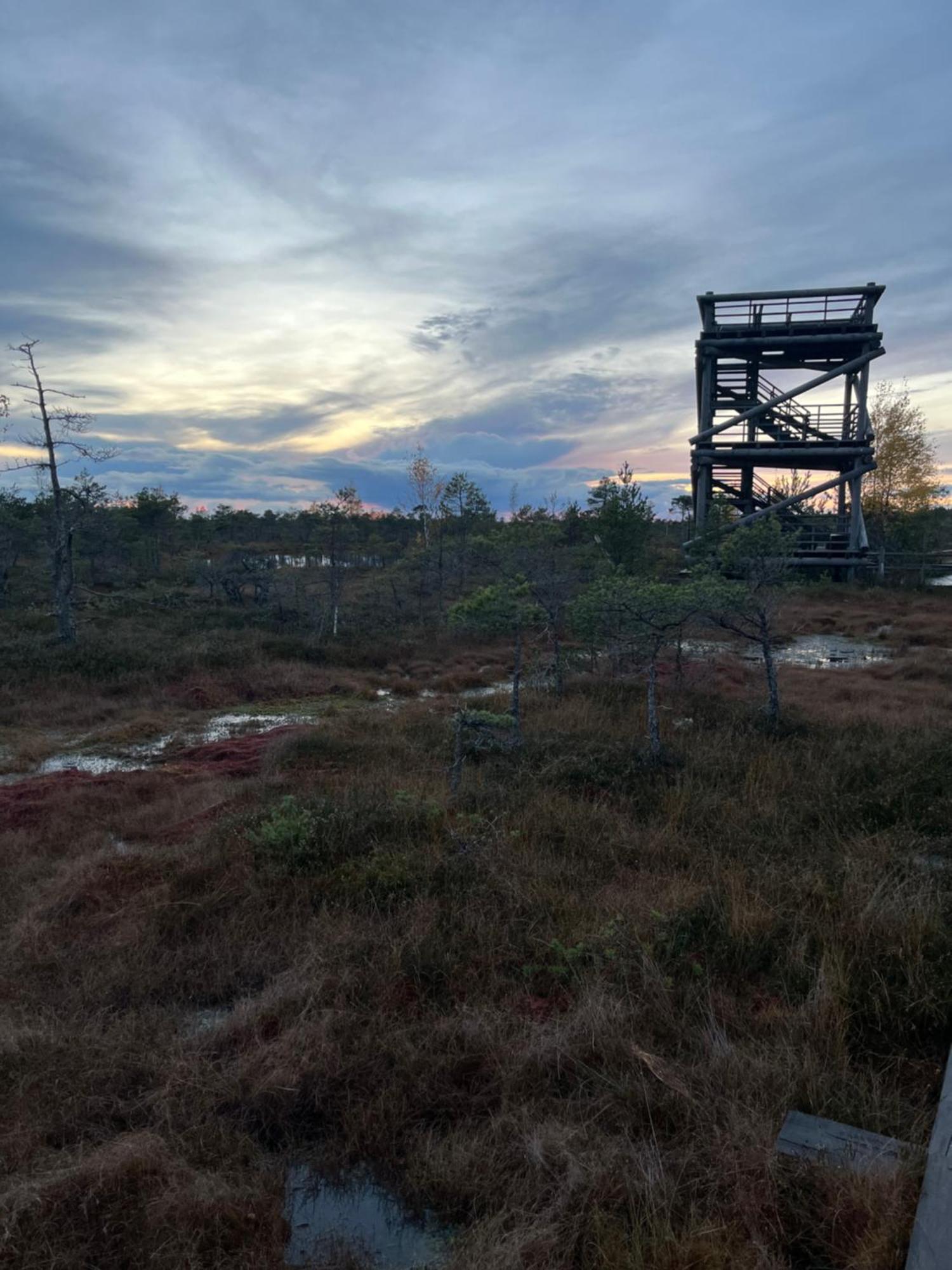 Auglu Ielas Pirts Maja Jūrkalne Esterno foto