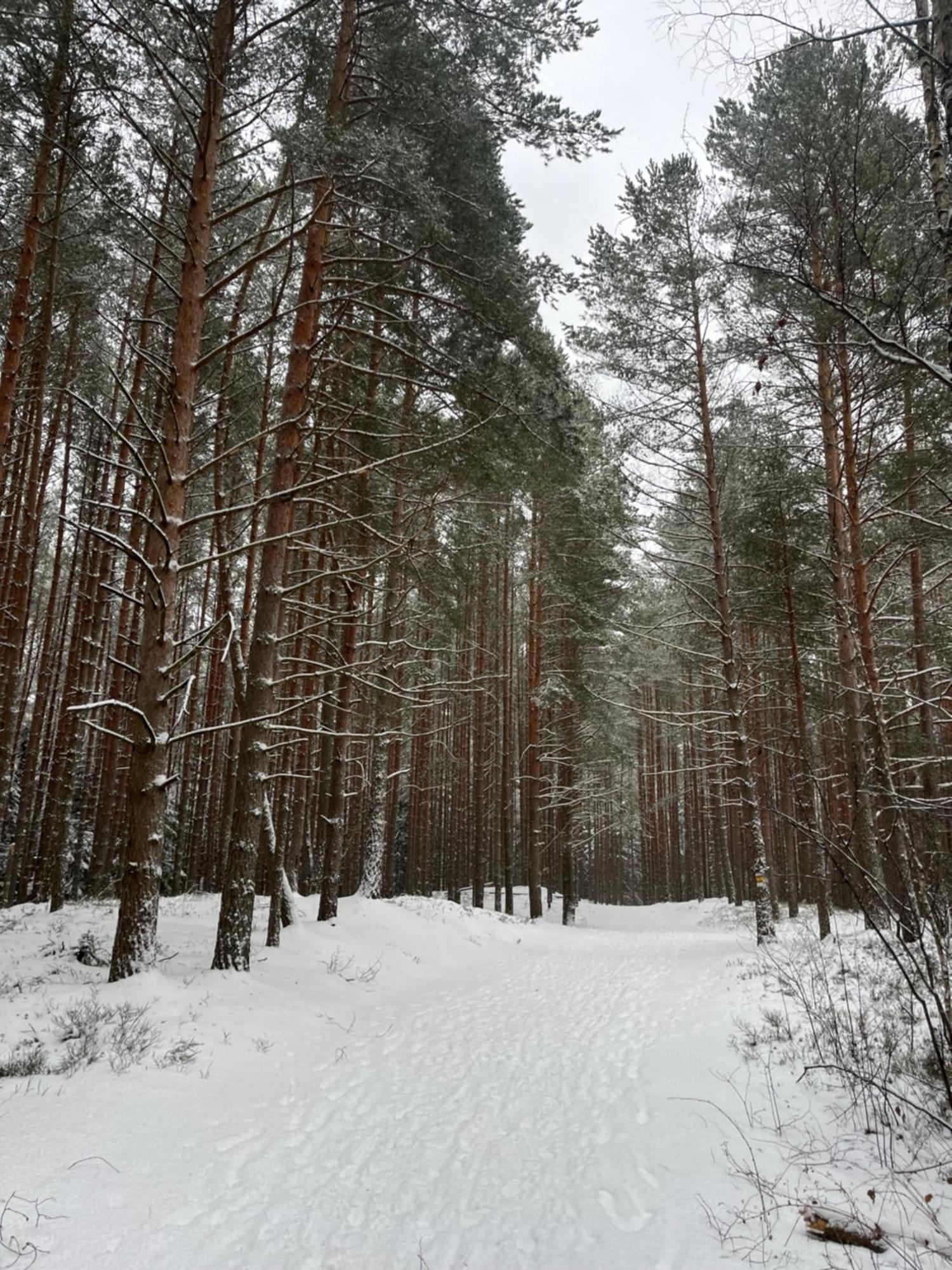 Auglu Ielas Pirts Maja Jūrkalne Esterno foto
